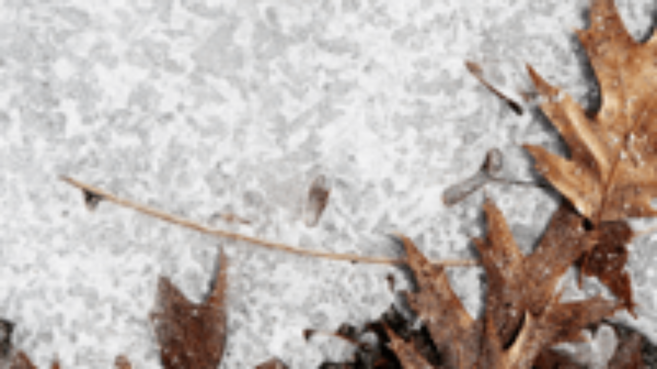 bespoke-tailor-winter-blog-image